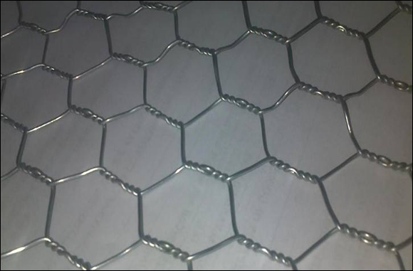 Triple twisted hexagonal wire mesh